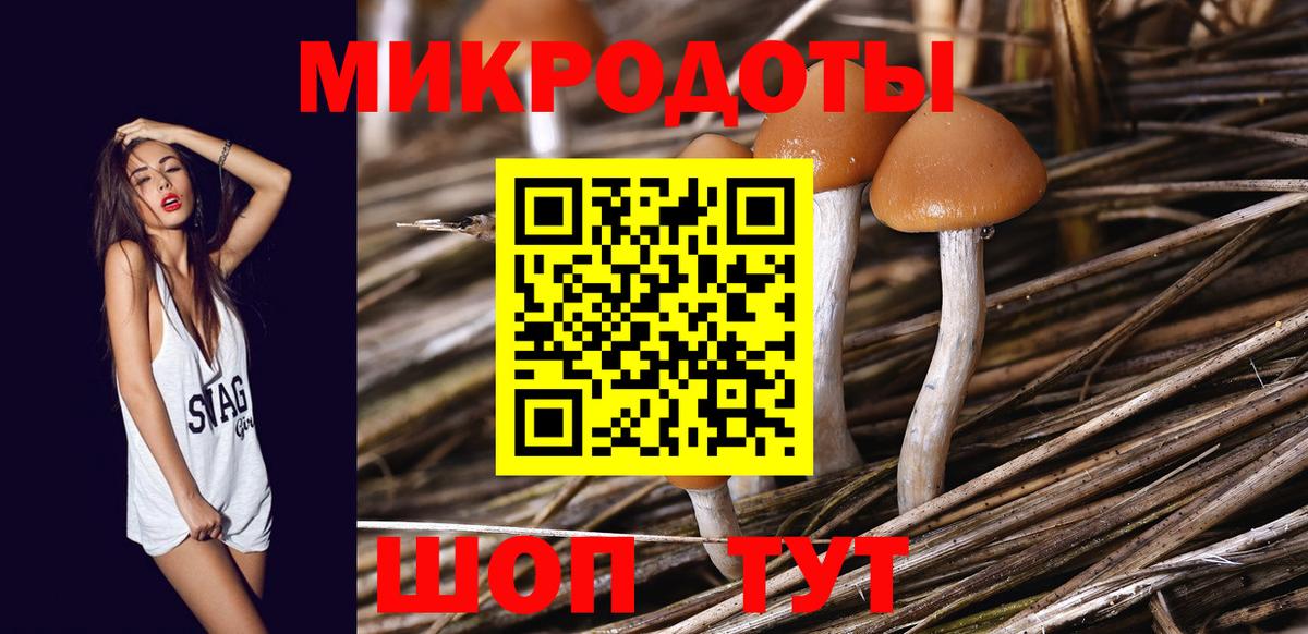 Кинешма  Псилоцибиновые грибы ЛСД  Вход с VPN 
